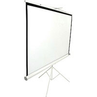 Elite Screens T120NWV1